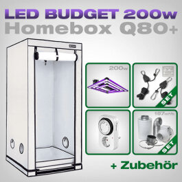 HOMEbox Q80+ LED Grow Set + 1x Lumatek ATS Pro 200W