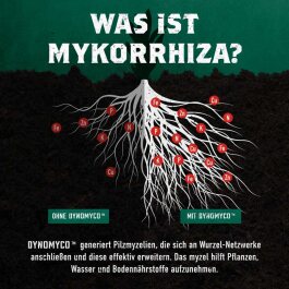 Dynomyco Mycorrhizae, 100g