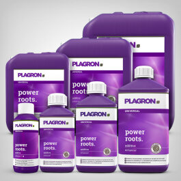 Plagron Power Roots, 100ml-20l