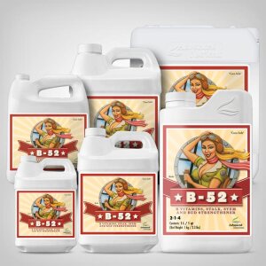 Advanced Nutrients B-52, 250ml-20l