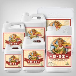 Advanced Nutrients B-52, 250ml-20l